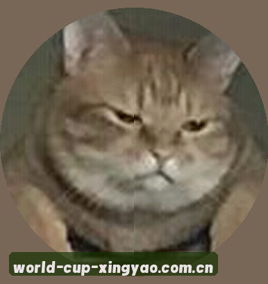 孙悦